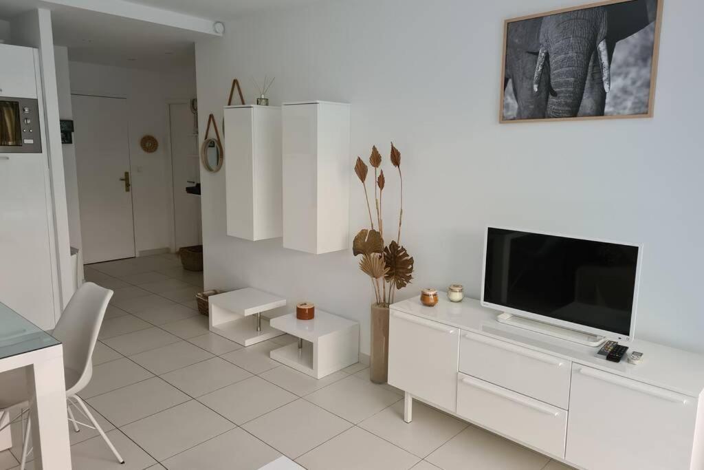 Apartment Le Lodge, T2 Classe 3 Etoiles Avec Jardin, Parking, Piscine & A 2 Pas Menton